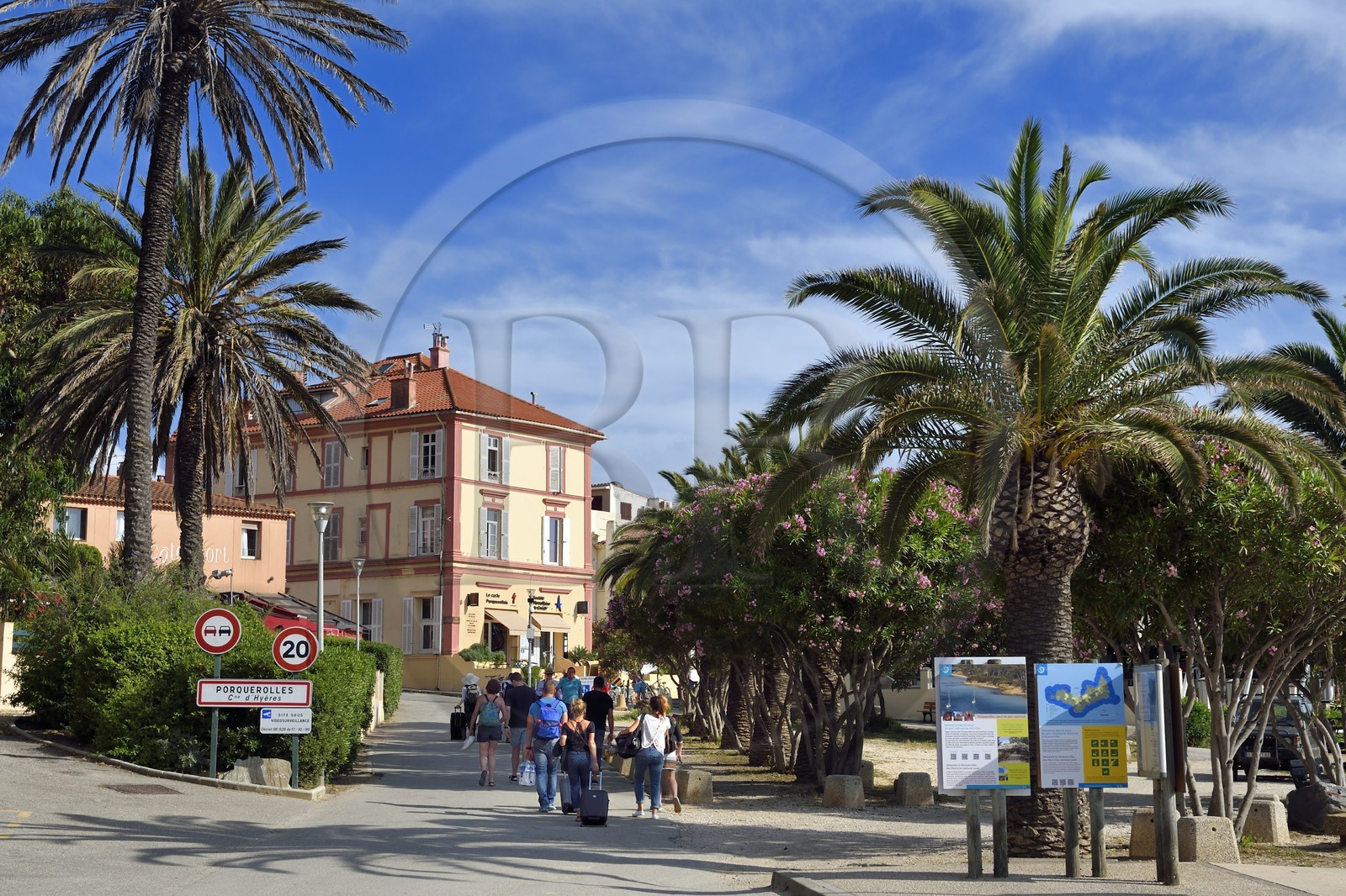 France, Var (83), Iles d'Hyères, parc national de Port Cros, Ile de Porquerolles, village de Porquerolles