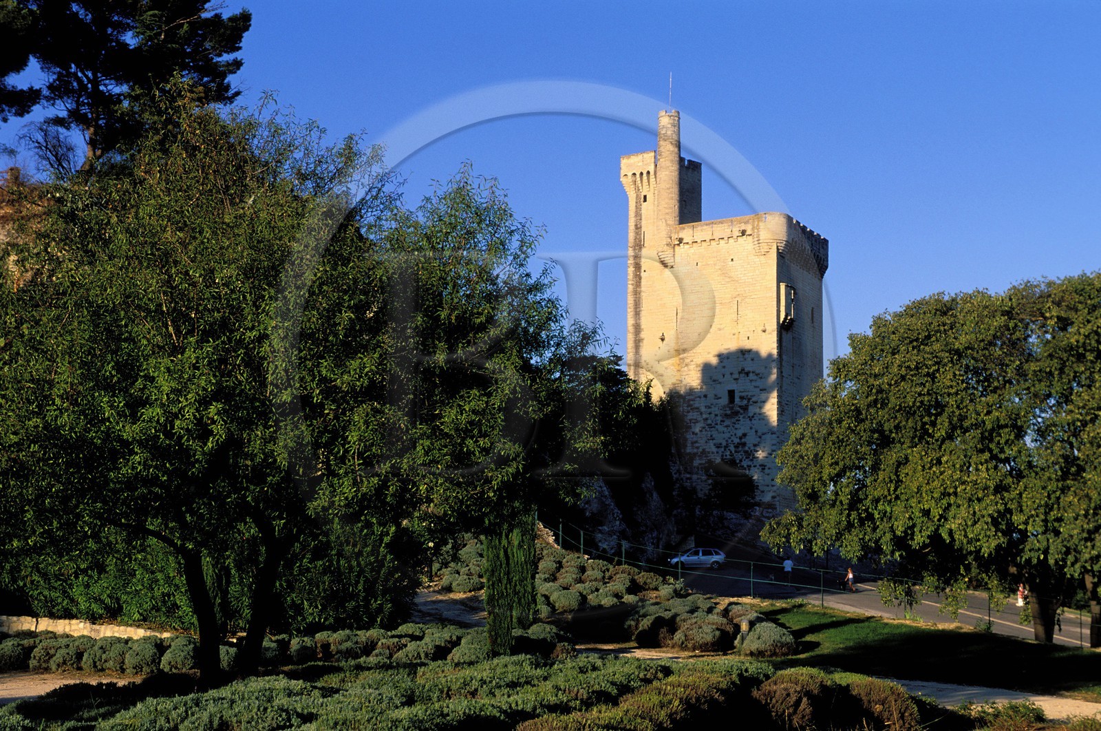France, Gard (30), Villeneuve-lès-Avignon, la tour Philippe Le Bel