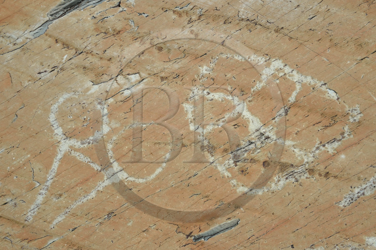 France, Alpes-Maritimes, parc national du Mercantour (Mercantour National Park), the Vallee des Merveilles (Valley of Wonders) scattered with thousands of rupestral engravings of the Bronze Age, schist flagstone called the Rock of the Altar engraved with hornlike figures probably representing an ox yoke on the left and a checkerboard-like figure that could symbolize cultivated fields on the right