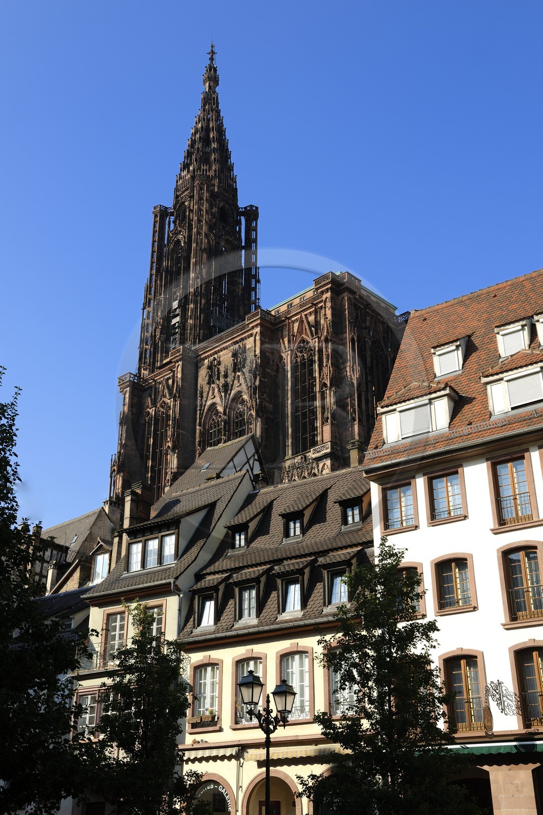 France, Bas-Rhin (67), Strasbourg, la cathédrale Notre-Dame depuis la rue du Vieil Hopital