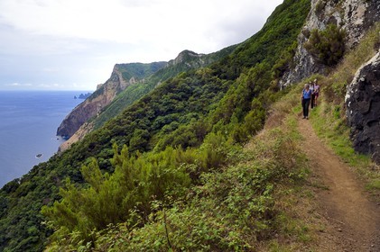 Portugal, Madeira Island, hike from Machico to Porto da Cruz by the Vereda do Larano, hikers on the path carved into the side of the wall of the cliff of Larano