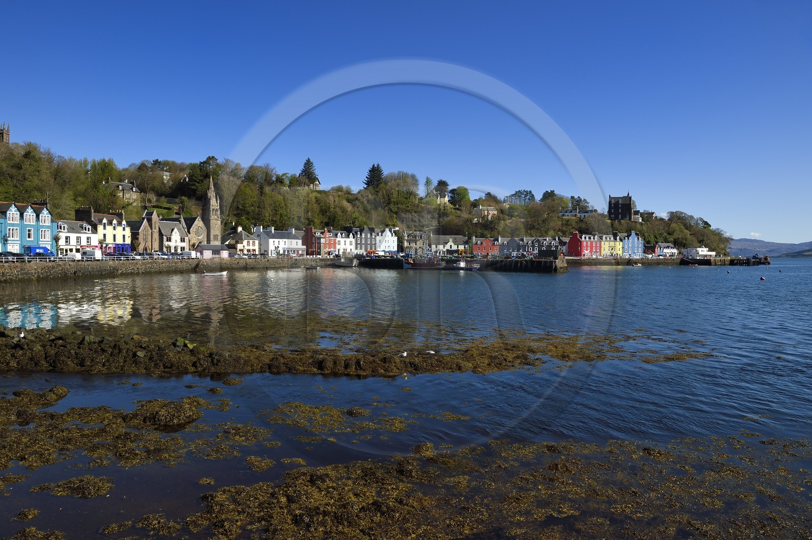 Royaume-Uni, Ecosse, Highland, Hébrides intérieures, Ile de Mull, la ville principale Tobermory et son port