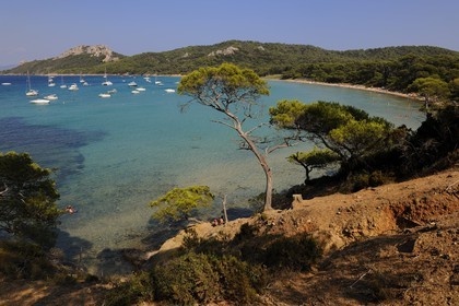 France, Var (83), Iles d'Hyères, parc national de Port-Cros, île de Porquerolles, la Plage Notre Dame