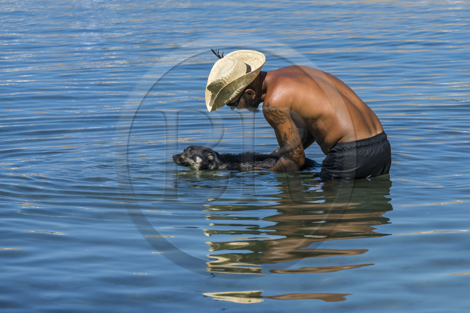France, Alpes-Maritimes (06), Cannes, Iles de Lérins, Ile de Saint-Honorat, un maitre baigne son chien dans la mer