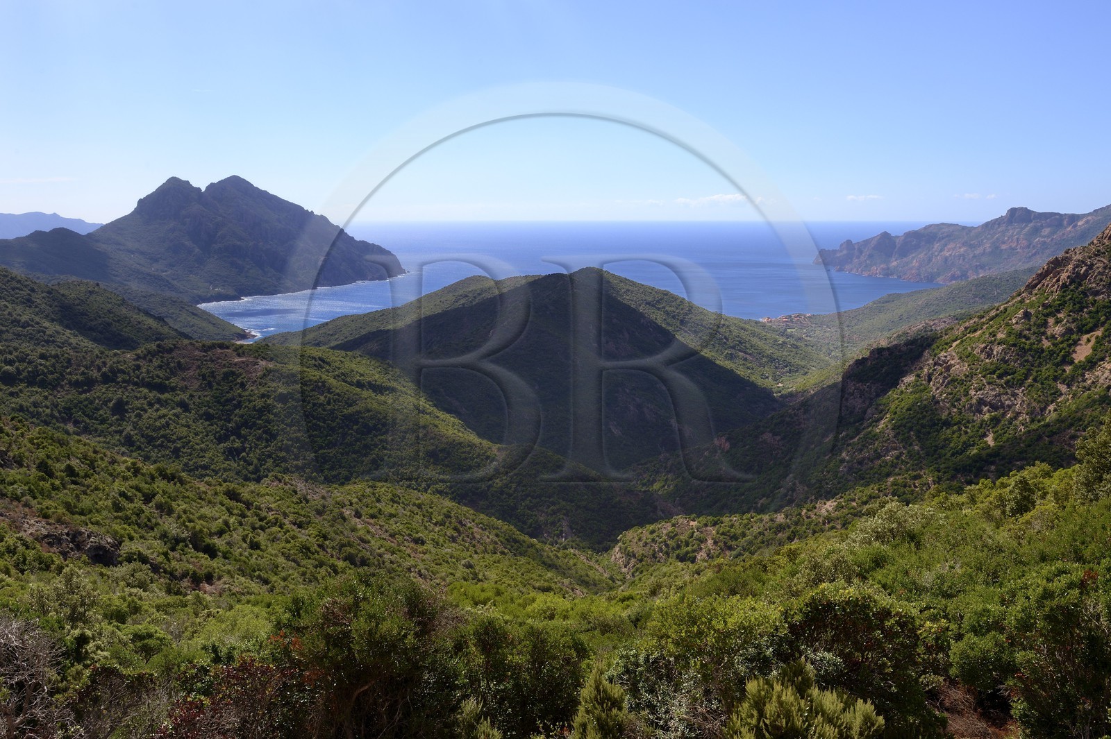 France, Corse du Sud, Golfe de Girolata, listed as World Heritage by UNESCO, the Punta Rossa of the peninsula of the Scandola Nature Reserve on the right in the background seen from the Col de Palmarel