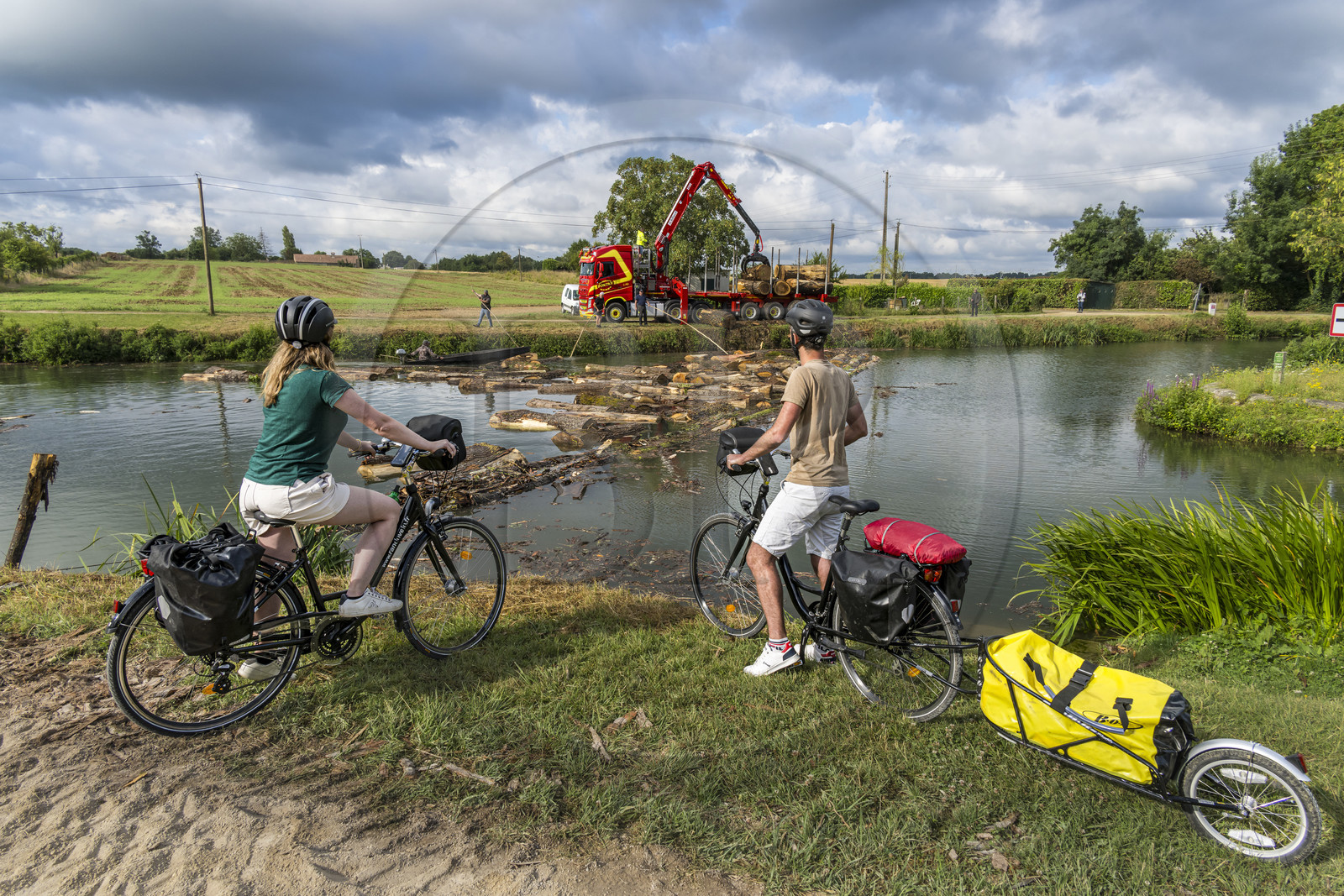 France, Deux-Sèvres (79), le Marais Poitevin, la Venise Verte, Magné, randonnée à bicyclette le long de la Sèvre Niortaise, flottage du bois