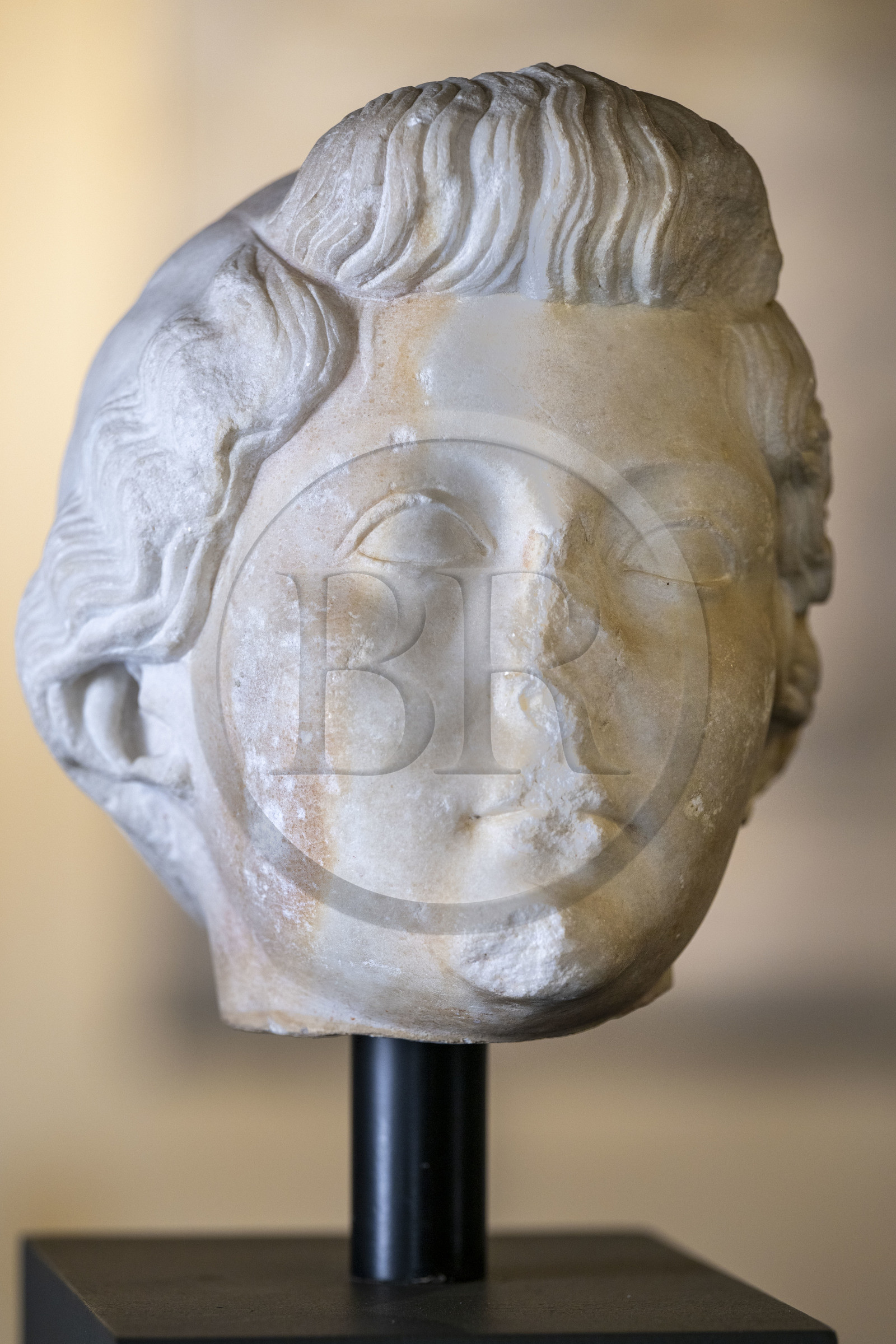 France, Bouches-du-Rhône (13), Parc Naturel Régional des Alpilles, Saint-Rémy-de-Provence, Hotel de Sade, centre des Monuments Nationaux, qui abrite le musée archéologique du site de Glanum, portrait de Livie, épouse d'Auguste en marbre blanc (fin Ier siècle av. J.-C.)