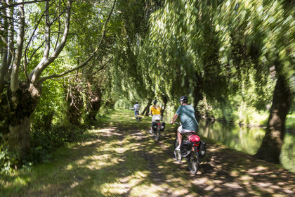 France, Deux-Sèvres (79), le Marais Poitevin, la Venise Verte, Le Vanneau-Irleau, randonnée à bicyclette le long des canaux