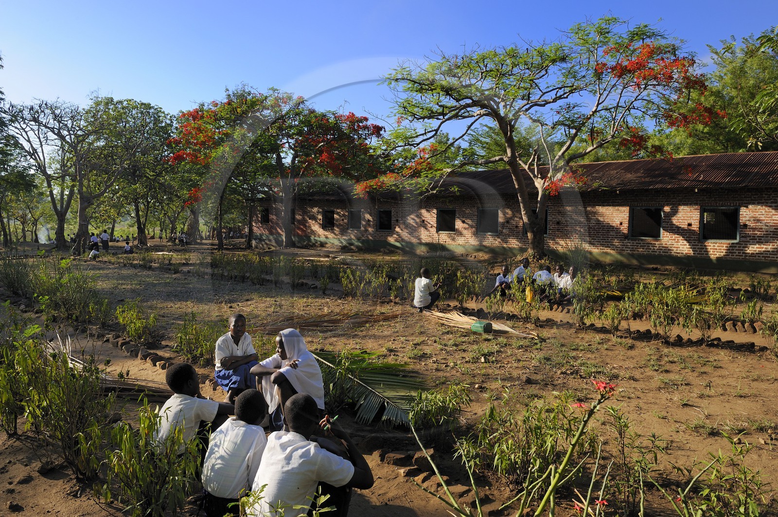 Tanzania, Morogoro district, Uluguru mountains, elementary school in the village of Kiroka