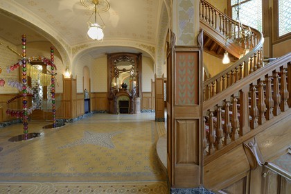France, Marne (51), Reims, la Villa Demoiselle de style Art Nouveau, la cheminée monumentale Majorelle
