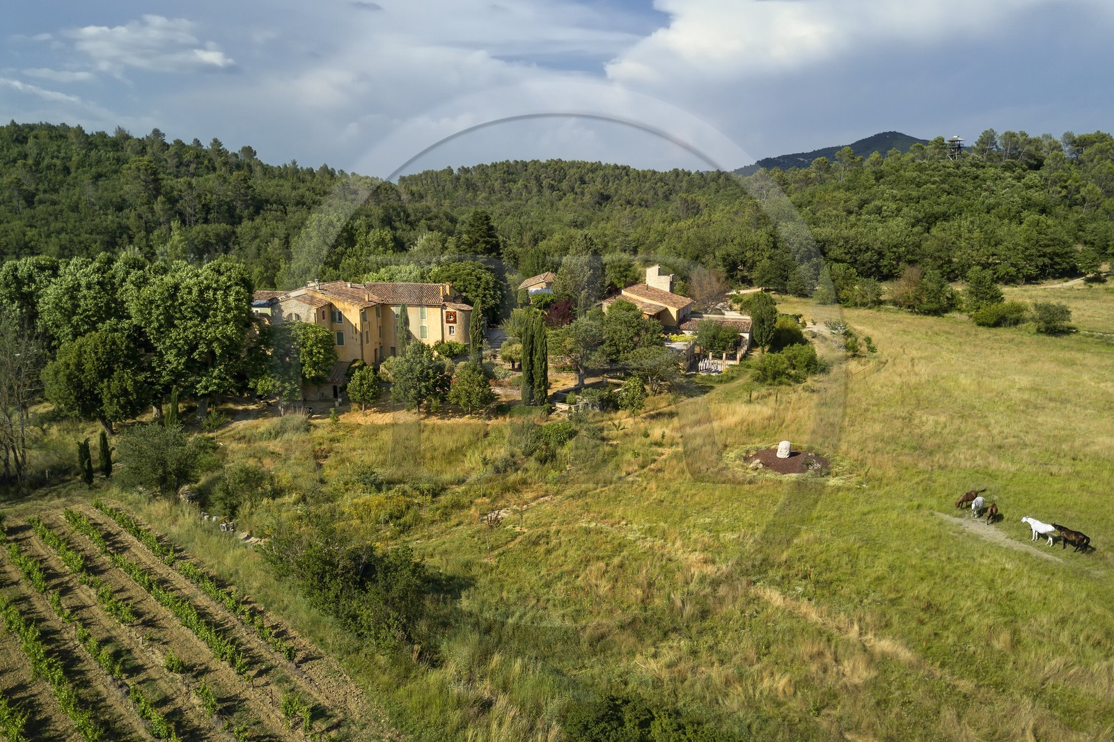 France, Var, Provence Verte (Green Provence), Bras village next to Saint Maximin, Le Peyrourier - une campagne en Provence Bed and Breakfast (aerial view)