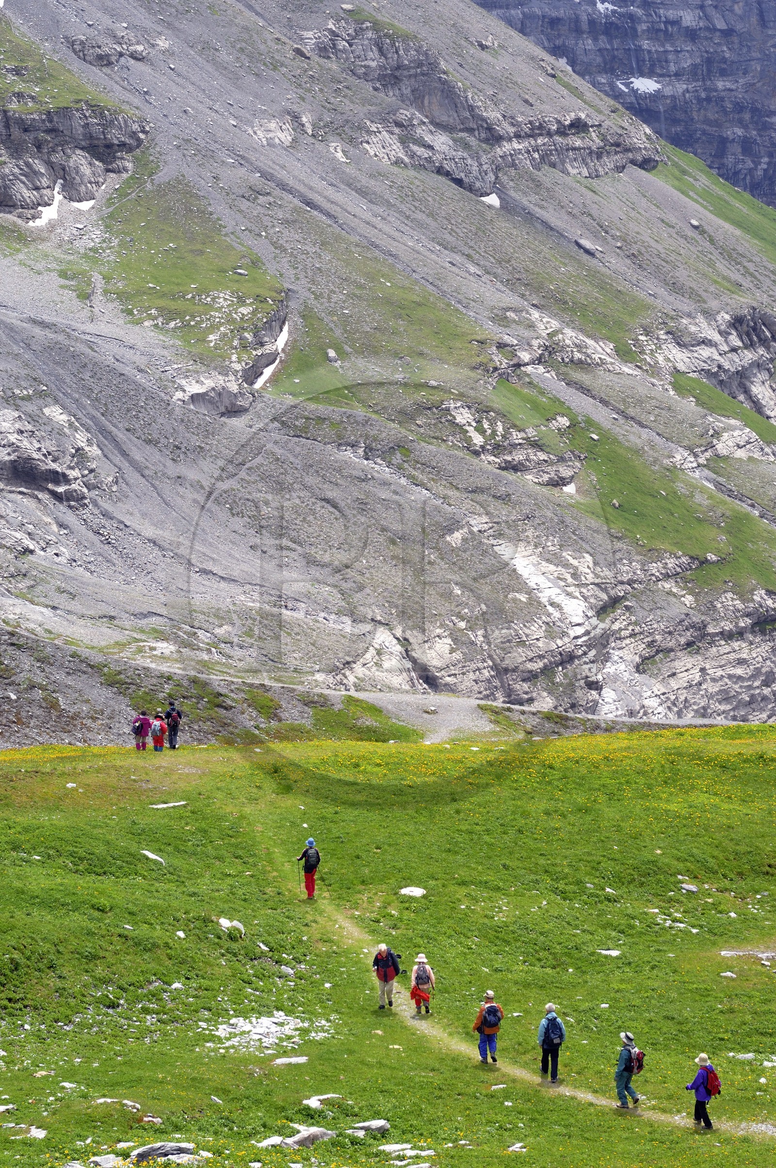 Suisse, Canton de Berne, Oberland bernois, massif de la Jungfrau (3 454 m) dit le toit de l' Europe, classé Patrimoine Mondial de l' UNESCO, randonneurs