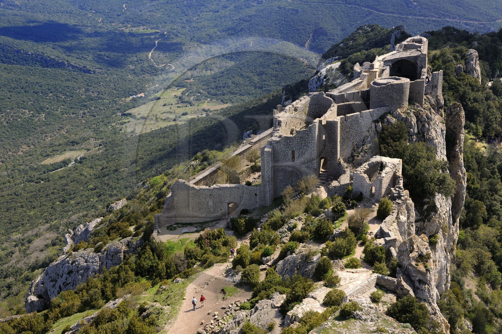 France, Aude (11), Pays Cathare, le château de Peyrepertuse du XIIe siecle