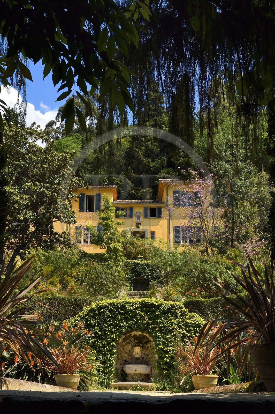 France, Alpes-Maritimes (06), Menton, le jardin Serre de la Madone et la villa du major Lawrence Johnston