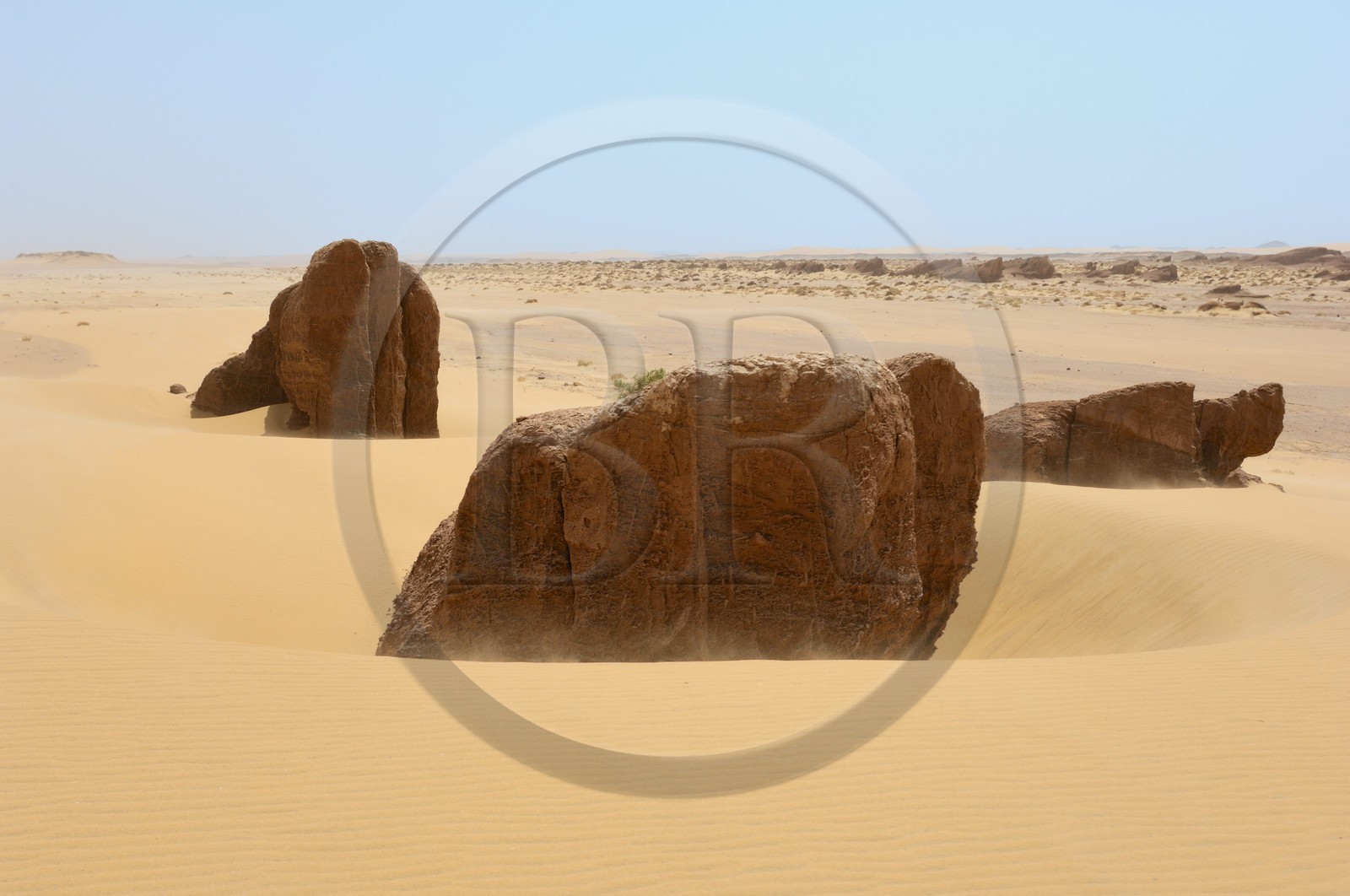 Egypte, Haute-Egypte, désert libyque, paysage désertique vers  Umm el-Dabadib au nord-est de Kharga