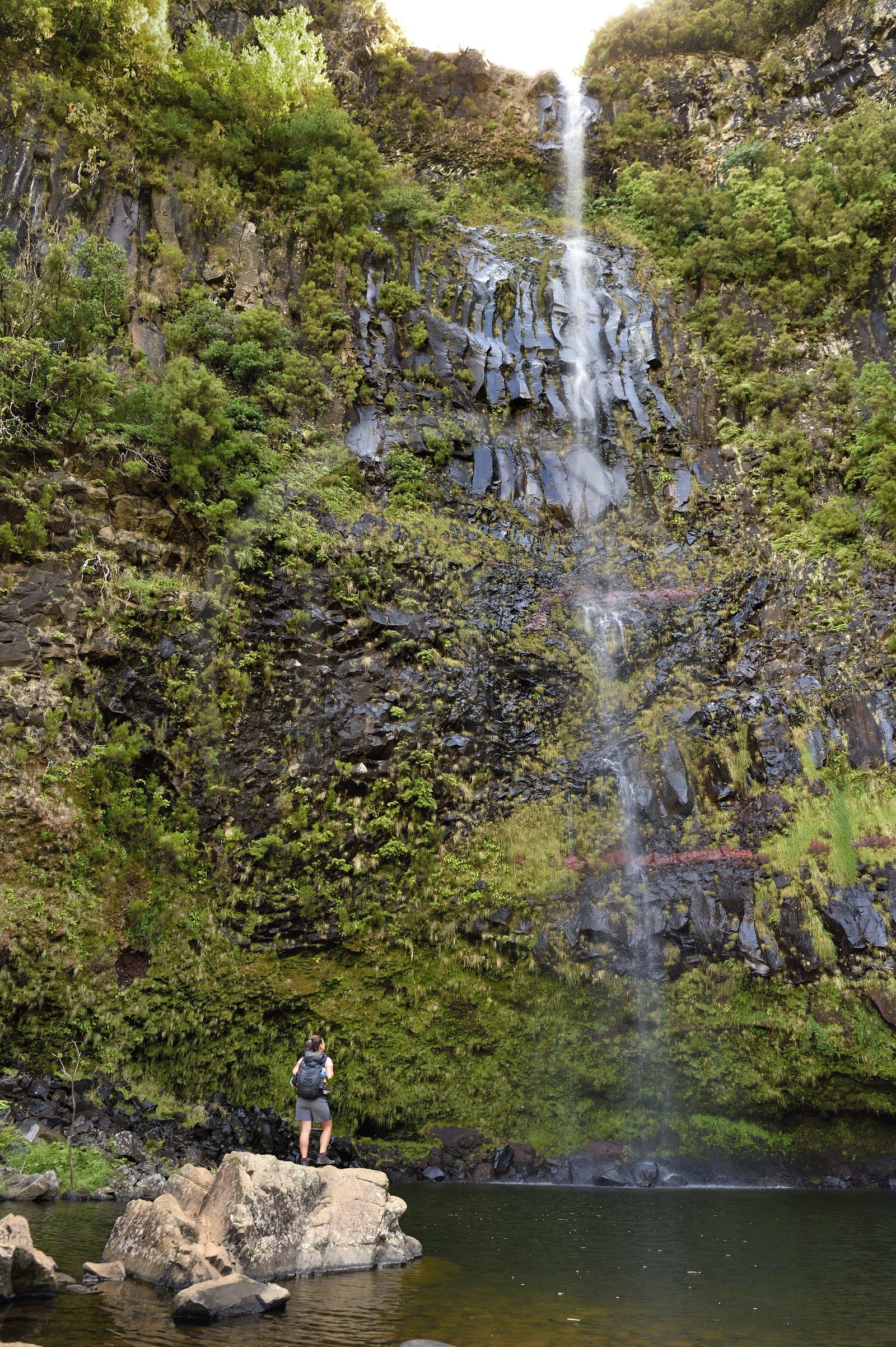 Portugal, Ile de Madère, randonnée dans La forêt de Rabaçal par la levada do Alecrim, cascade de Lagoa do Vento de 80 mètres de haut au coeur de la forêt Laurissilva classée Patrimoine Mondial de l'UNESCO