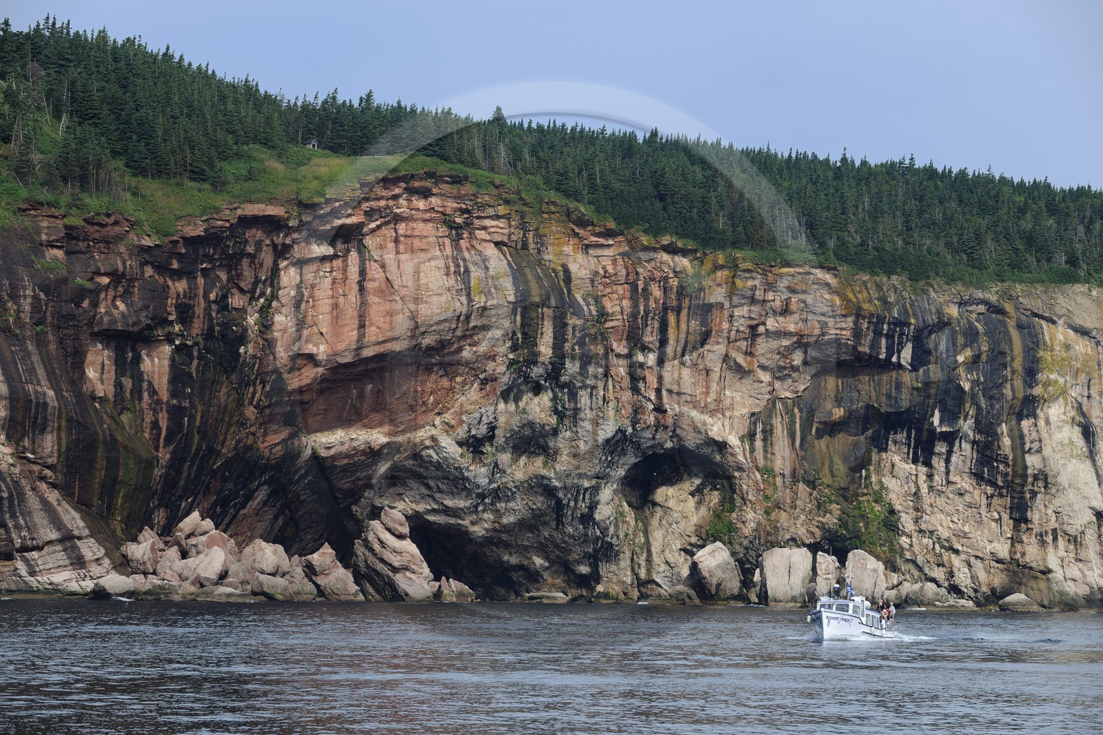 Canada, province de Québec, Gaspésie, île Bonaventure