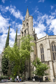 France, Vaucluse, Avignon, Saint Pierre (St. Peter's) Basilica (15th and 16th centuries)