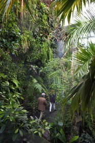 France, Charente-Maritime (17), La Rochelle, Aquarium La Rochelle, Mention obligatoire, la serre tropicale