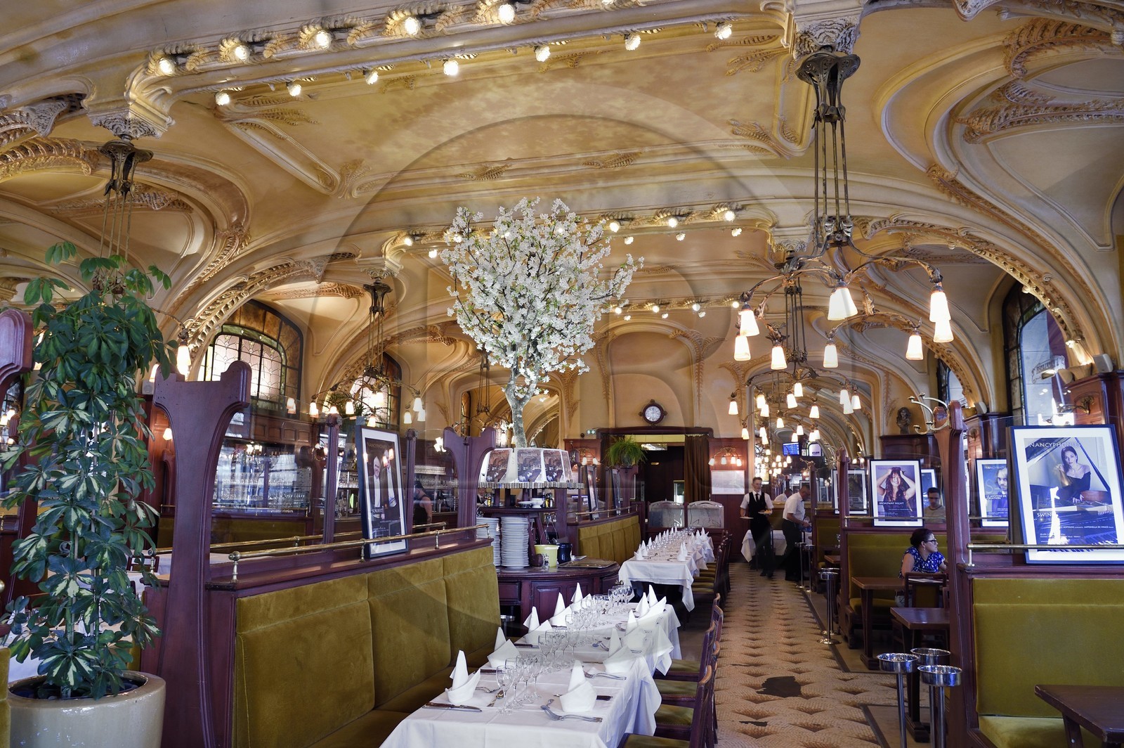 France, Meurthe-et-Moselle (54), Nancy, brasserie Excelsior (Brasserie Flo) de 1910, de style Art Nouveau Ecole de Nancy, les luminaire sont de Louis Majorelle