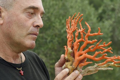 France, Corse-du-Sud (2A), Bonifacio, Ville Haute, Corail rouge de Méditerranée, le corailleur Jean-Philippe Giordano