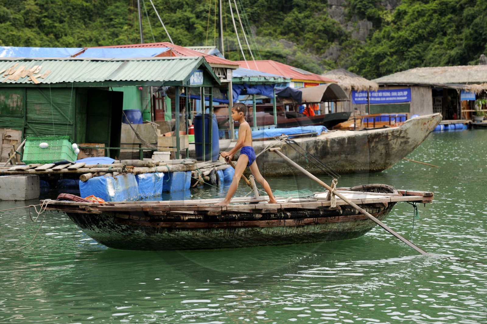 Vietnam, Quang Ninh Province, Halong Bay, listed as World Heritage by UNESCO, fishing floating village of Vong Vieng