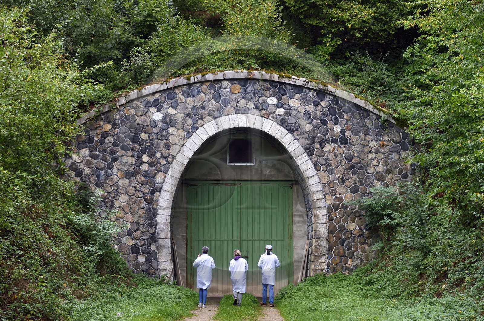France, Cantal (15), La Chapelle-Laurent, entrée de la cave d'affinage pour les fromages Marcel Charrade dans l'ancien tunnel ferroviaire de la ligne Saint-Flour - Brioude long d’un kilomètre