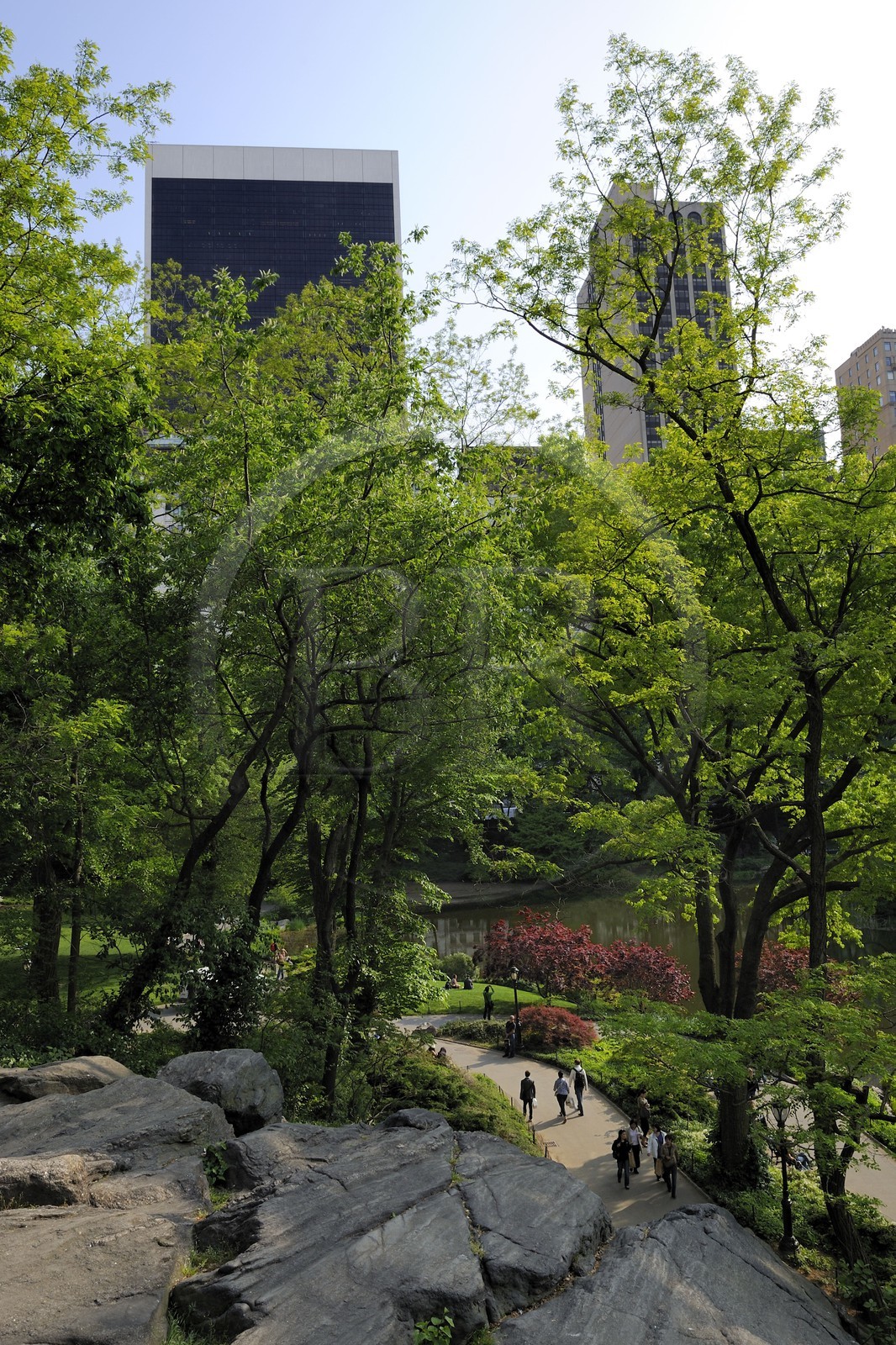 Etats-Unis, New York, Manhattan, Central Park,