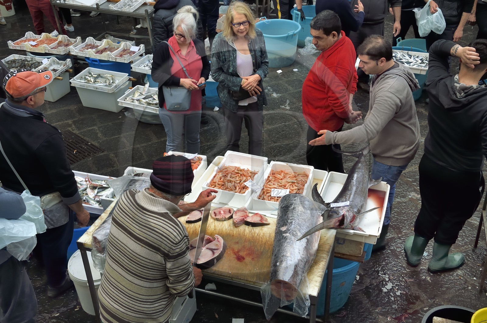 Italie, Sicile, Catane, ville baroque classée au Patrimoine Mondial de l'UNESCO, le marché aux poissons Pescheria de la Piazza Alonzo di Benedetto