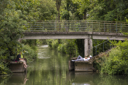 France, Deux-Sèvres, le Marais Poitevin, Green Venice Coulon, anglers along the Sevre Niortaise River banks