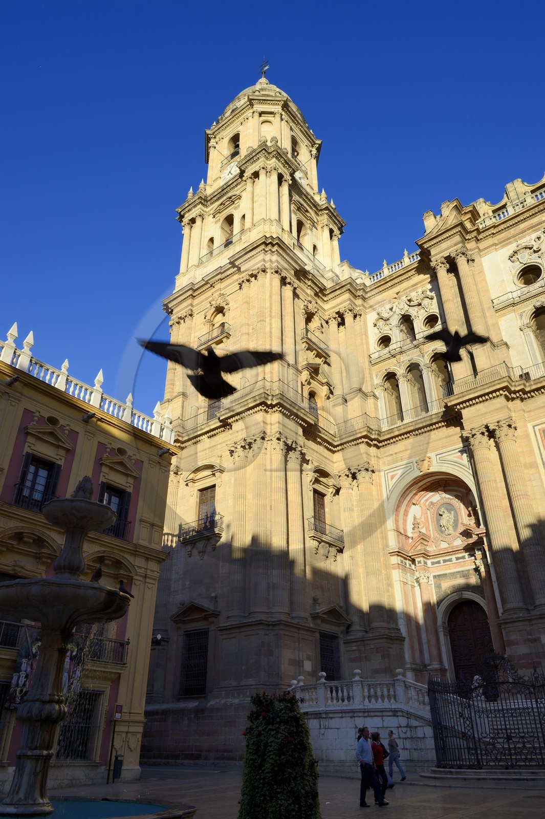 Spain, Andalusia, Malaga, the cathedral, Catedral Basílica de la Encarnacion