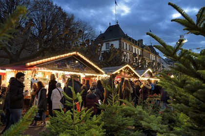 France, Bas Rhin, Strasbourg, old town listed as World Heritage by UNESCO, Christmas market (Christkindelsmarik) on the place Broglie, selling Christmas trees in the foreground and the former City Hall in the background