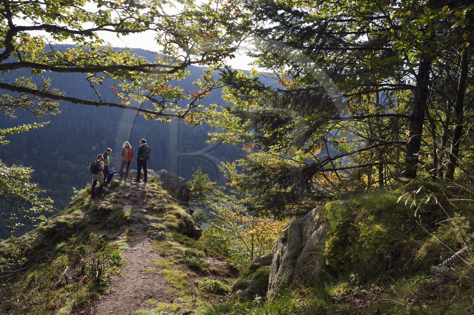 France, Vosges (88), Le Valtin, randonnée au lieu dit les Roches qui surplombe la vallée du Valtin dans la haute-vallée de la Meurthe sur le circuit des Roches