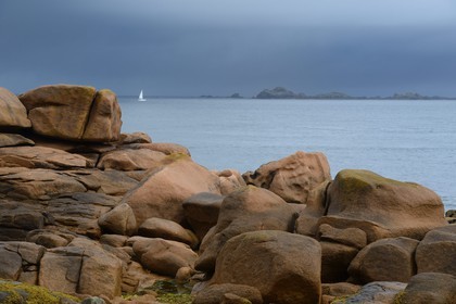France, Cotes-d'Armor, Cote de Granit Rose (the Pink Granite coast), Tregastel, Renote island