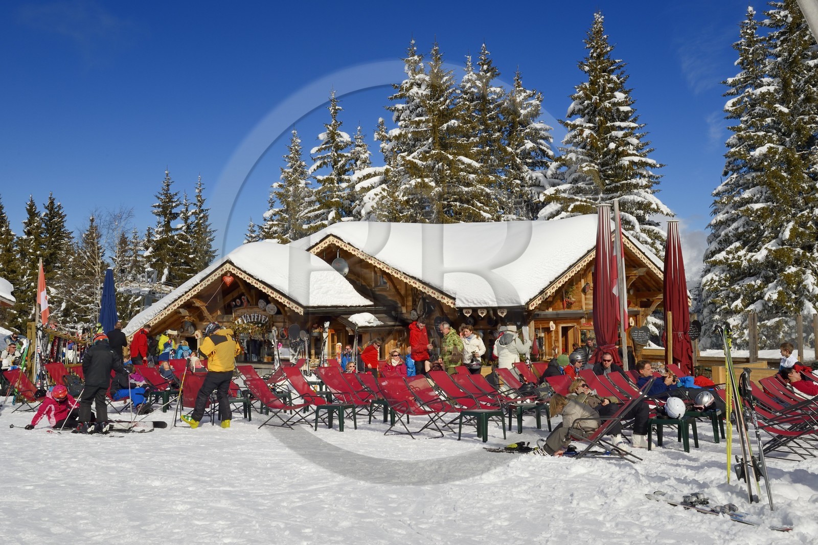 France, Haute Savoie, Morzine, the valley of Aulps, massif of Chablais, ski slopes of the Portes du Soleil,