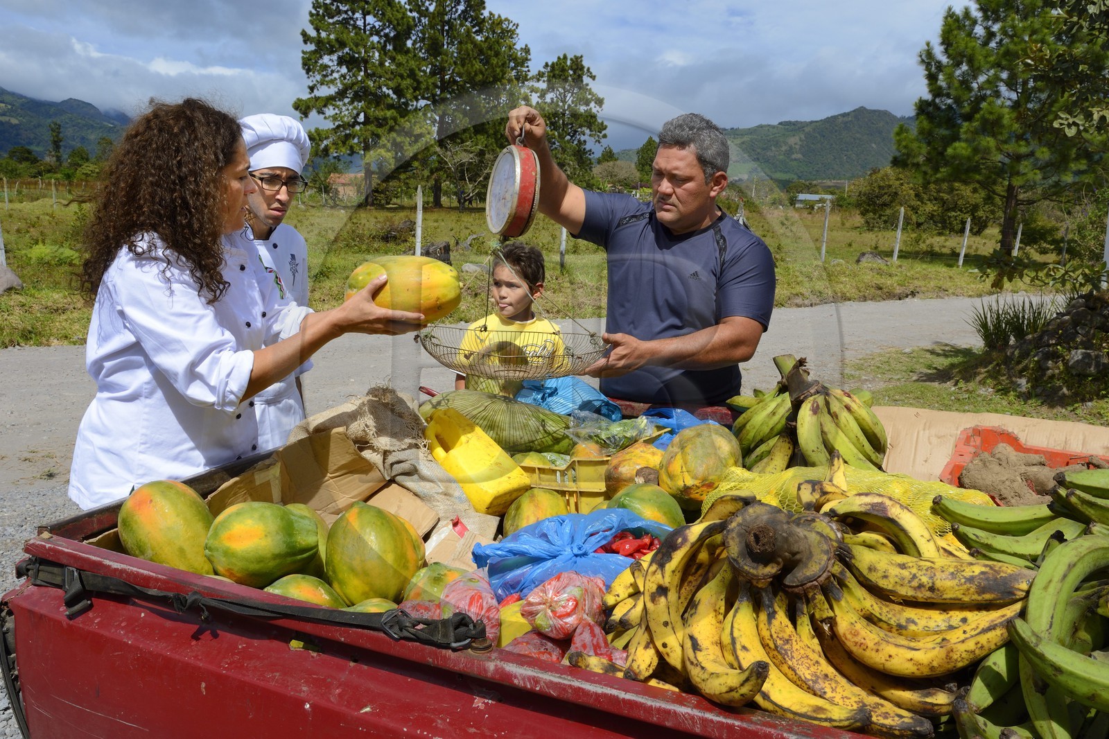Panama, Chiriqui province, small town of Volcan, Cerro Brujo Gourmet restaurant, the chef Patricia Miranda Allen is delivered by an organic farmer