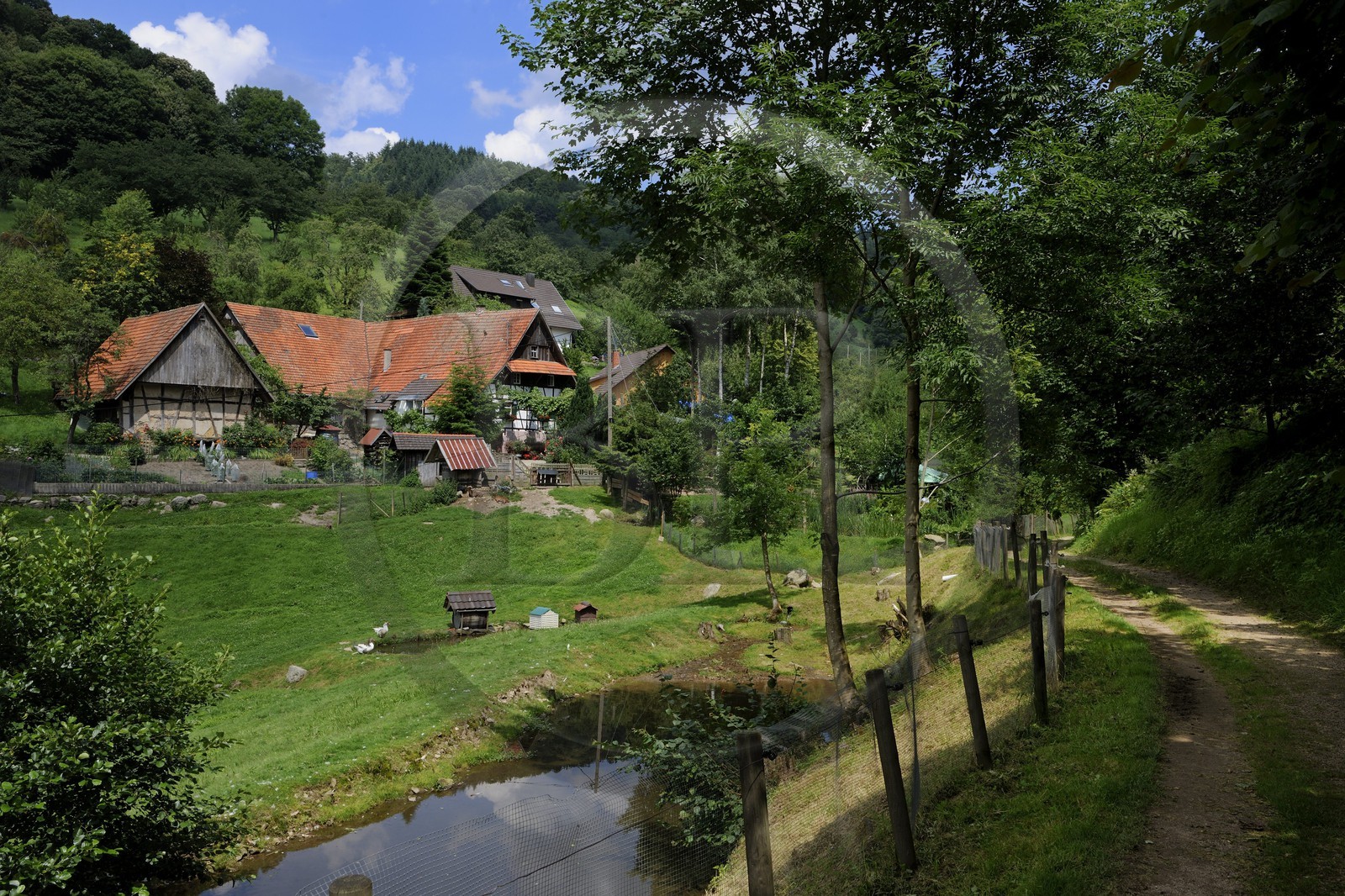 Allemagne, Forêt Noire, Schwartzwald, Bade-Würtemberg, région d'Ottenhöffen, ferme auberge de la Benz-Mühle -  - Germany, Black Forest, Schwarzwald, Baden-Württemberg, Ottenhoffen Region, Benz-Mühle Inn