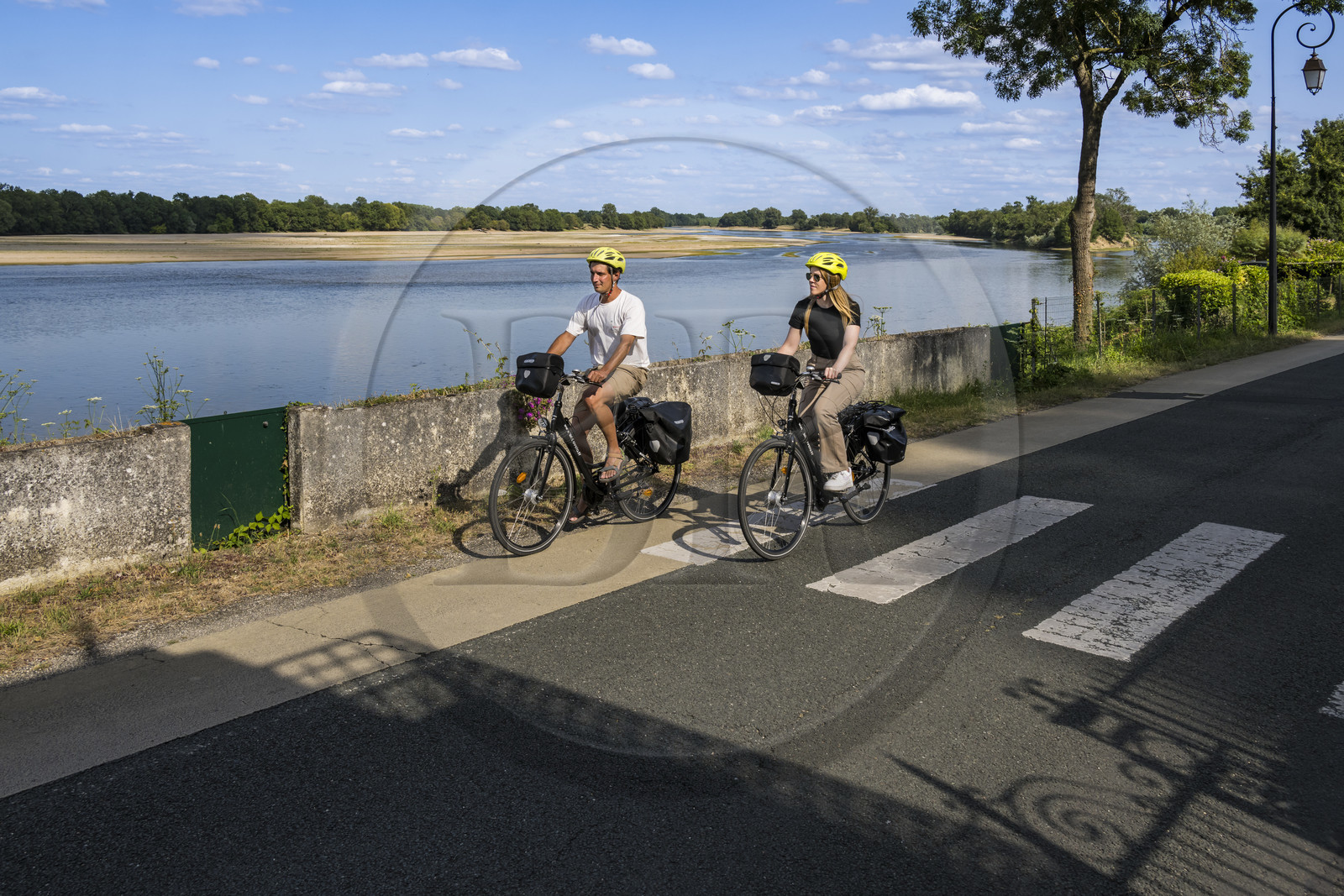 France, Maine-et-Loire (49), vallée de la Loire classée au Patrimoine Mondial par l'UNESCO, Gennes-Val-de-Loire, randonnée à bicyclette sur les berges de la Loire