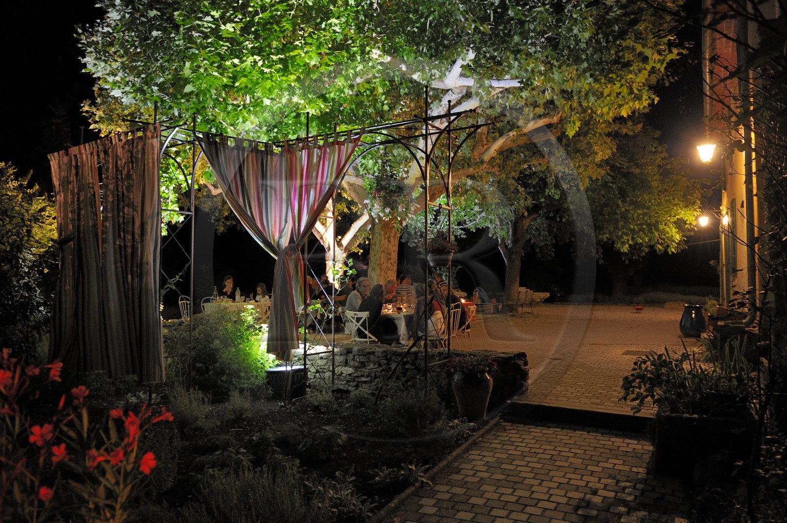 France, Var, Provence Verte (Green Provence), Bras village next to Saint Maximin, Le Peyrourier Bed & Breakfast, une campagne en Provence