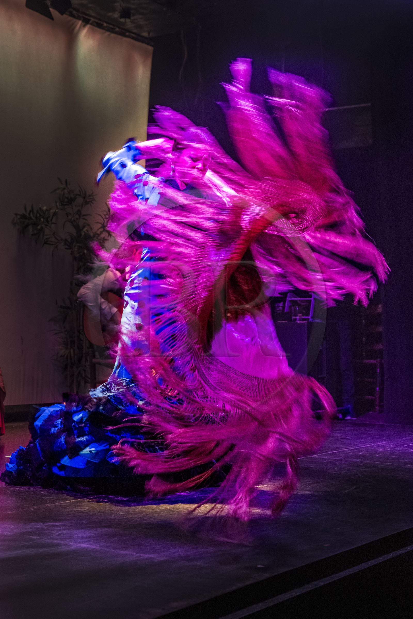 Espagne, Catalogne, Barcelone, City Hall Barcelona, spectacle de danse Flamenco