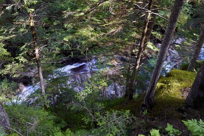 France, Hautes Pyrenees, Saint Lary Soulan, Rioumajou valley, the river Neste de Rioumajou