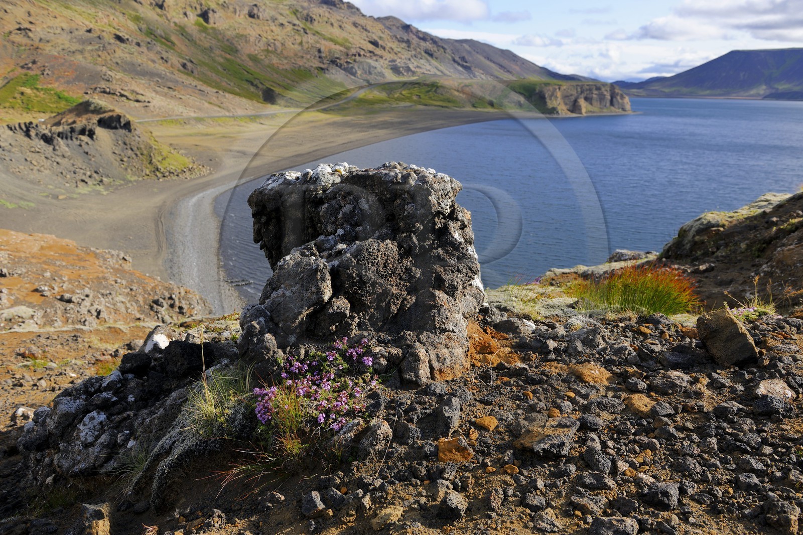 Islande, Région de Reykjavik, vallée de Krisuvik, le lac Kleifarvatn