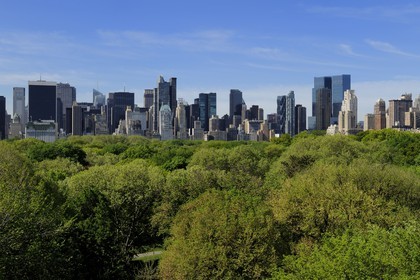 Etats-Unis, New York, Manhattan, East Side, les immeubles de Midtown et Central Park vus depuis la terrasse du Metropolitan Museum of art (MET)