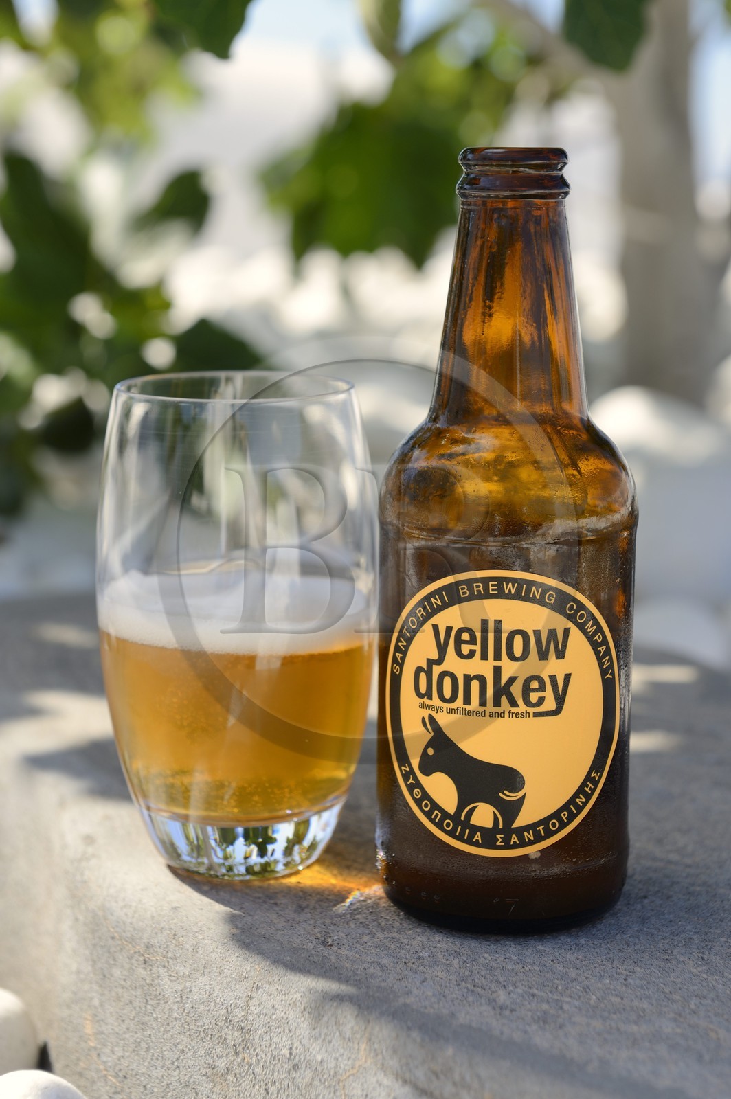 Grèce, Les Cyclades, mer Égée, île de Santorin (Thira ou Théra), village de Oia, la bière locale de l'Ile Yellow Donkey