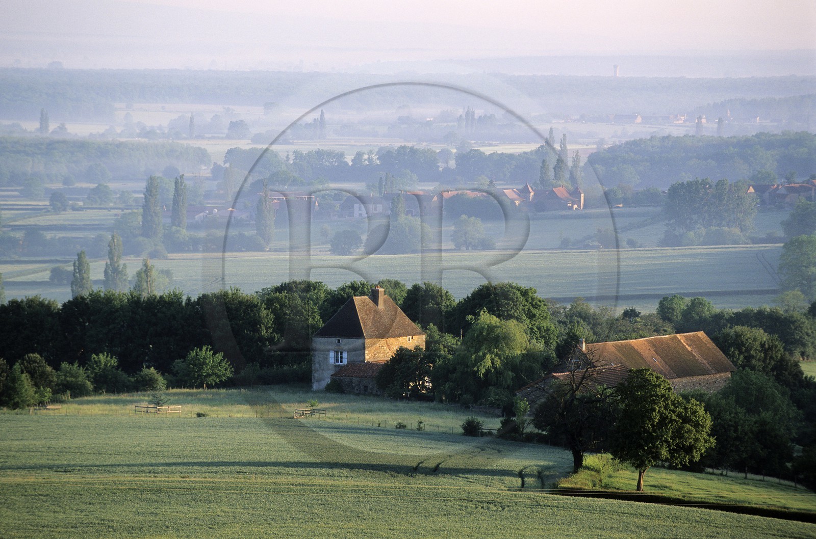 France, Saone et Loire, Mâconnais, a scenery of Chapaize region at early morning