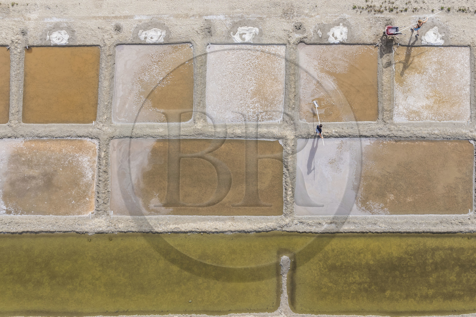 France, Charente-Maritime (17), Port-des-Barques, Ile Madame, la Ferme Aquacole de l'Ile Madame, Jean Philippe et Gaelle Mineau récoltent le sel de leur saline (vue aérienne)