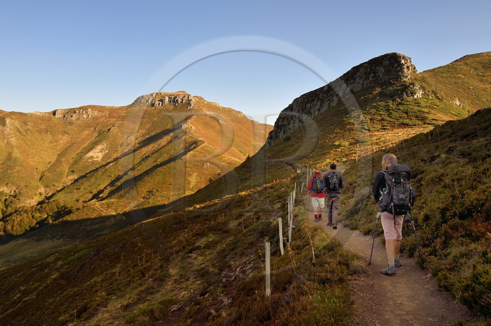 France, Cantal (15), Parc Naturel Régional des Volcans d'Auvergne, Le Lioran, col de Rombière, randonneurs sur le chemin de Saint-Jacques de Compostelle par la Via Arverna, le puy de Peyre Arse à gauche puis le col de Cabre et le Puy Bataillouse à droite en arrière plan