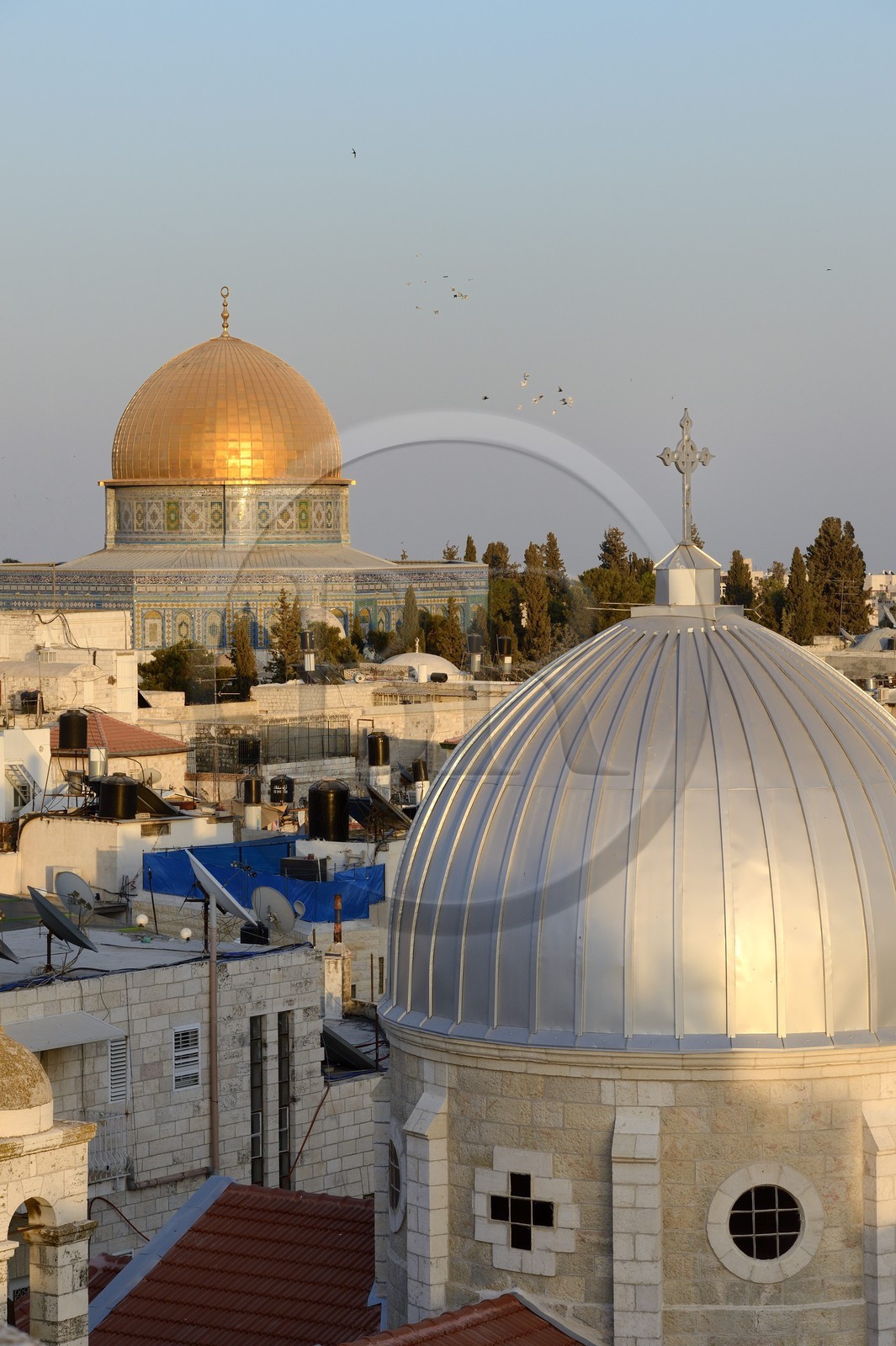 Israel, Jérusalem, ville sainte, vieille-ville classée Patrimoine Mondial de l'UNESCO, les toits du quartier musulman,  l'église Notre-Dame du Spasme et le Dome du Rocher en arrière plan