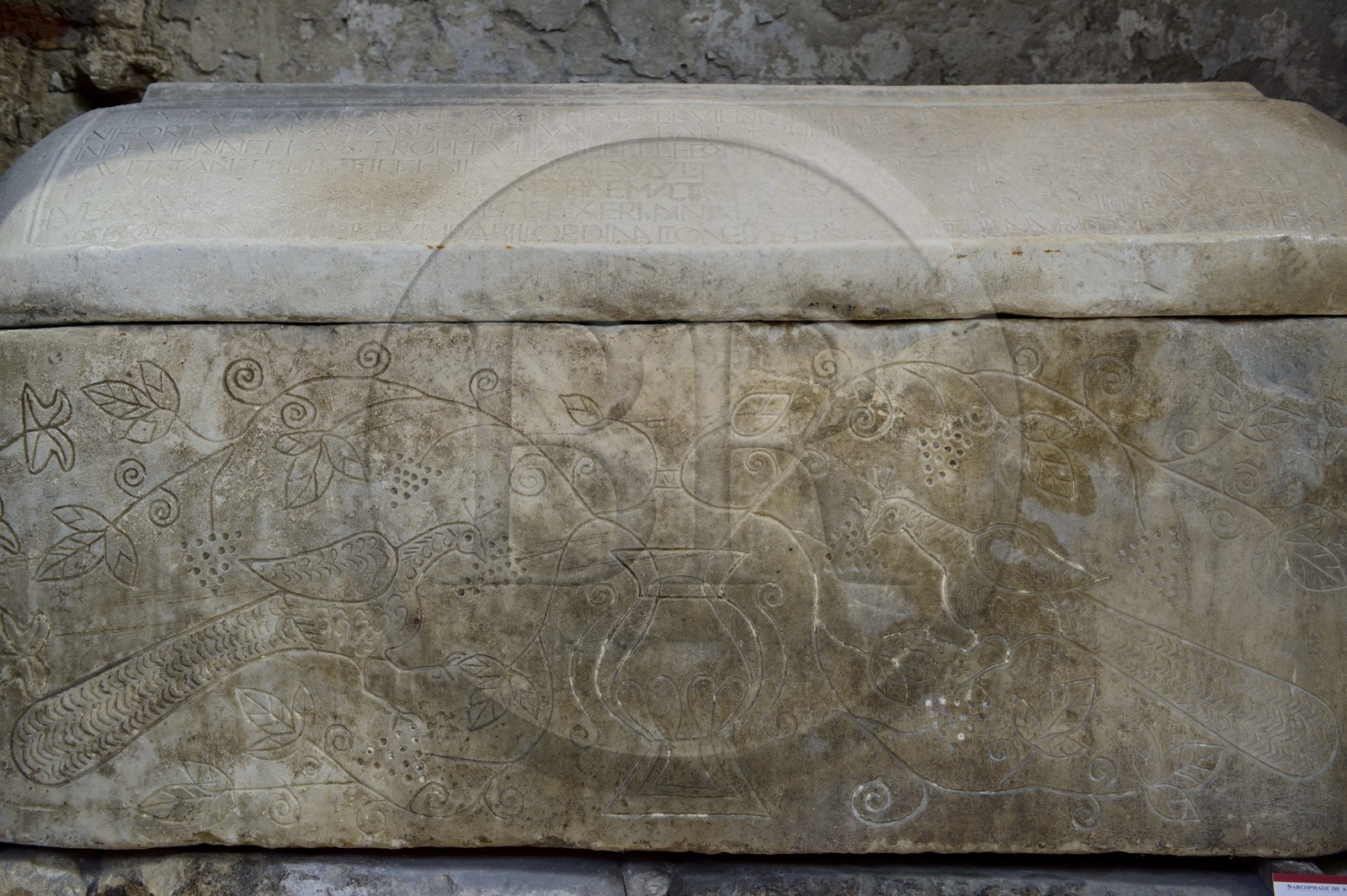 France, Isère (38), Vienne, musée lapidaire dans l'église Saint-Pierre, sarcophage de Saint Léonien datant du VIème siècle avec inscription des symboles des premiers chrétiens