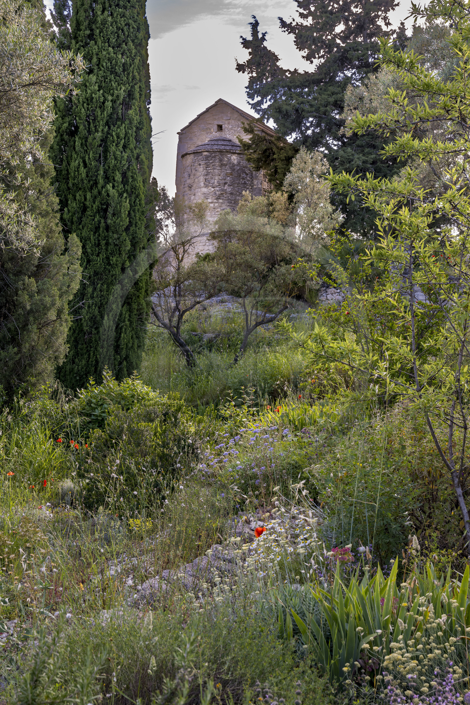 France (30), Gard, Villeneuve-lès-Avignon, la très ancienne chapelle Sainte-Casarie dans les jardins de l'ancienne abbaye bénédictine de Saint André